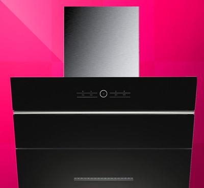 生產(chǎn)廠家直供抽油煙機(jī),雙核純銅線、超靜音雙電機(jī),吸力強(qiáng)勁圖片_高清圖_細(xì)節(jié)圖-深圳市龍崗區(qū)小優(yōu)廚房電器廠 -